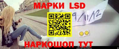 спиды Кингисепп