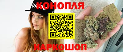 спиды Кингисепп