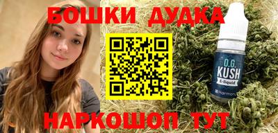 спиды Кингисепп