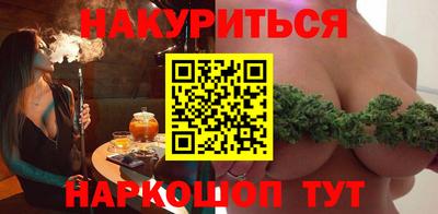 спиды Кингисепп