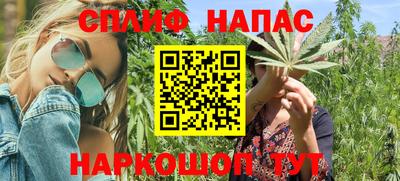 спиды Кингисепп