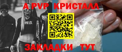 спиды Кингисепп