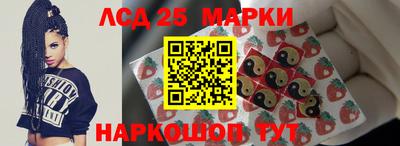 спиды Кингисепп