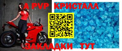 спиды Кингисепп