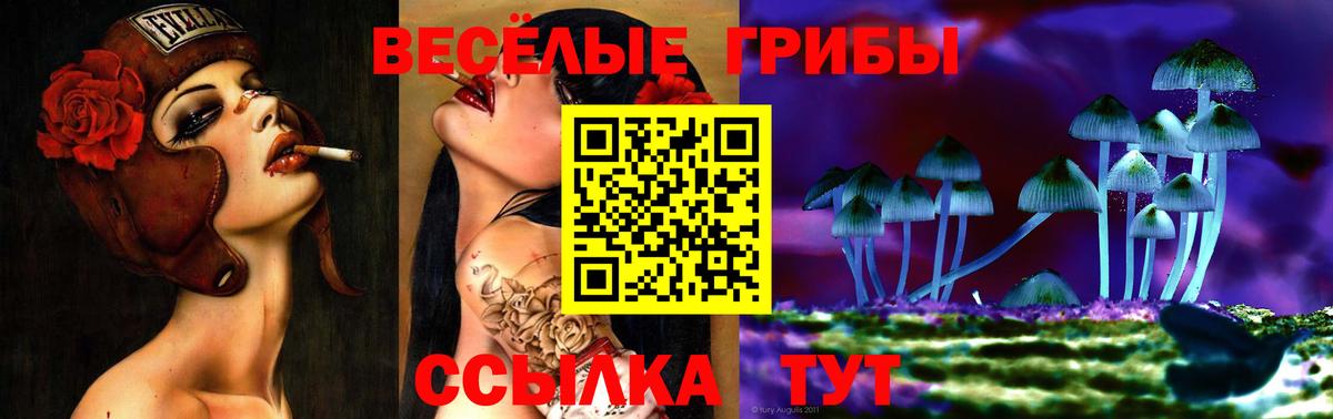 Галлюциногенные грибы ЛСД Будённовск